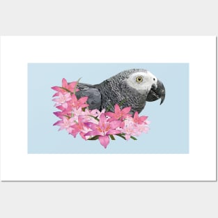 Gray parrot Posters and Art